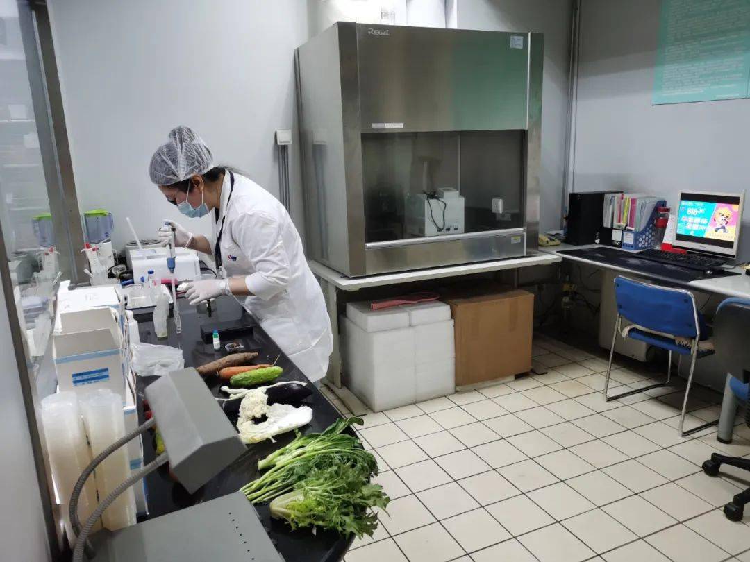 宋洛乡食品检测实验室装修方案